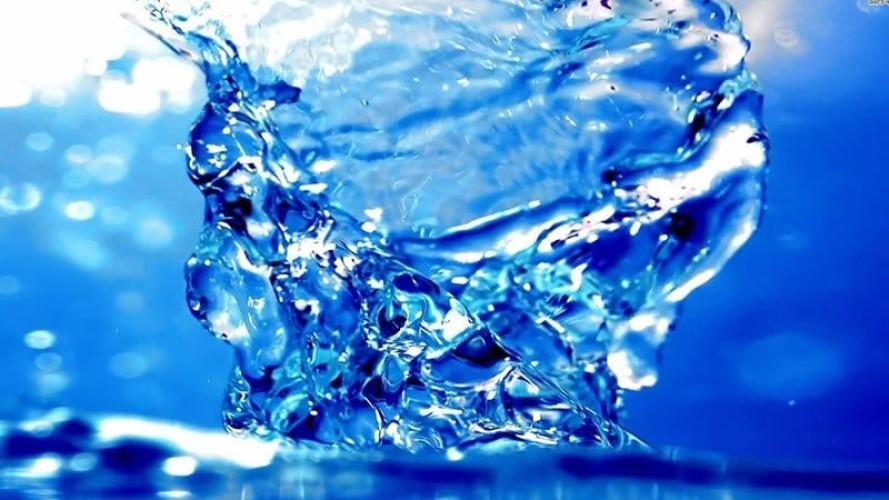 284258951 100586632687839 6455625418149571392 n