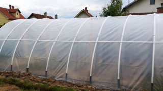 Poziv za podnošenje prijava za dodjelu plastenika